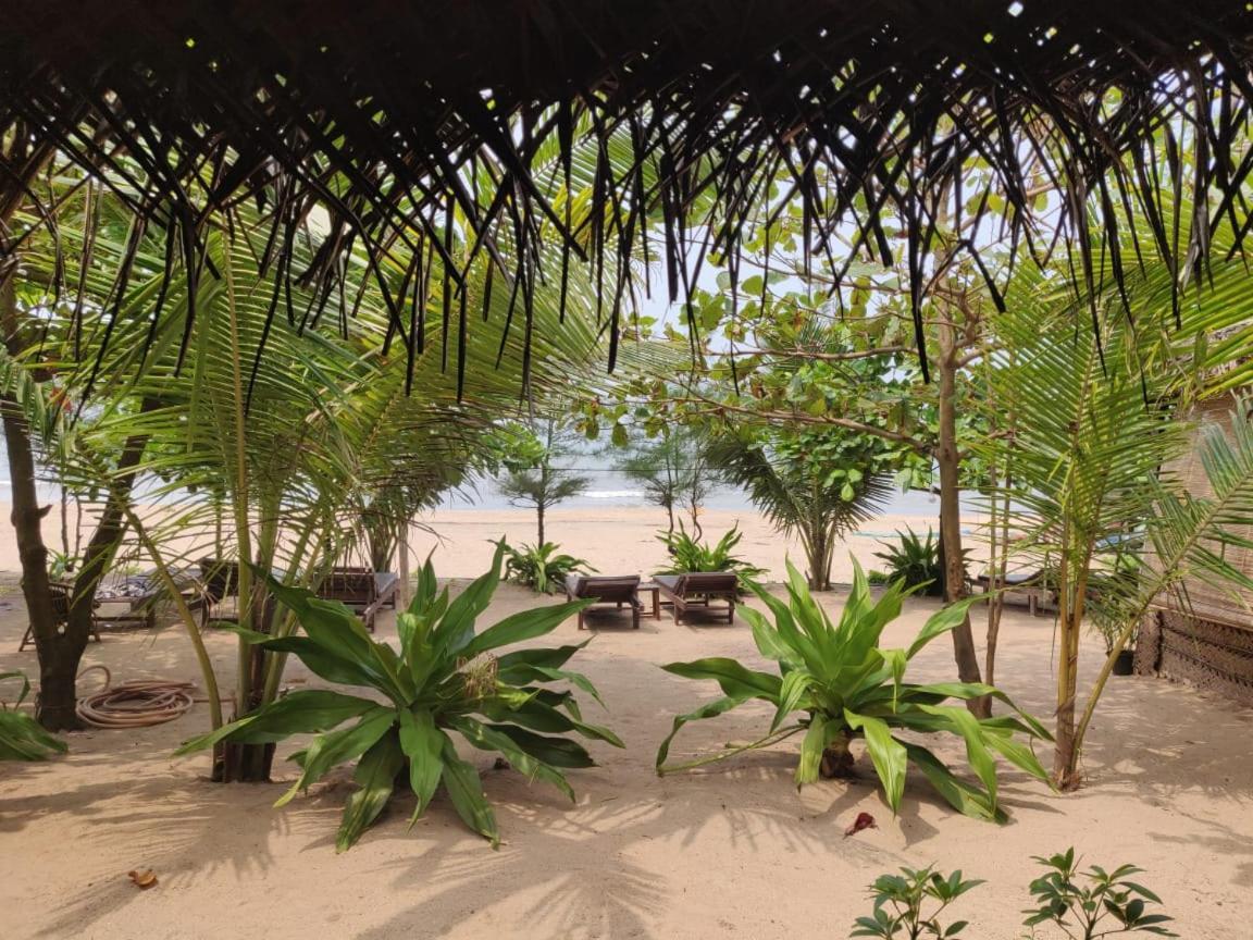 Mariposa Beach Grove Agonda Buitenkant foto