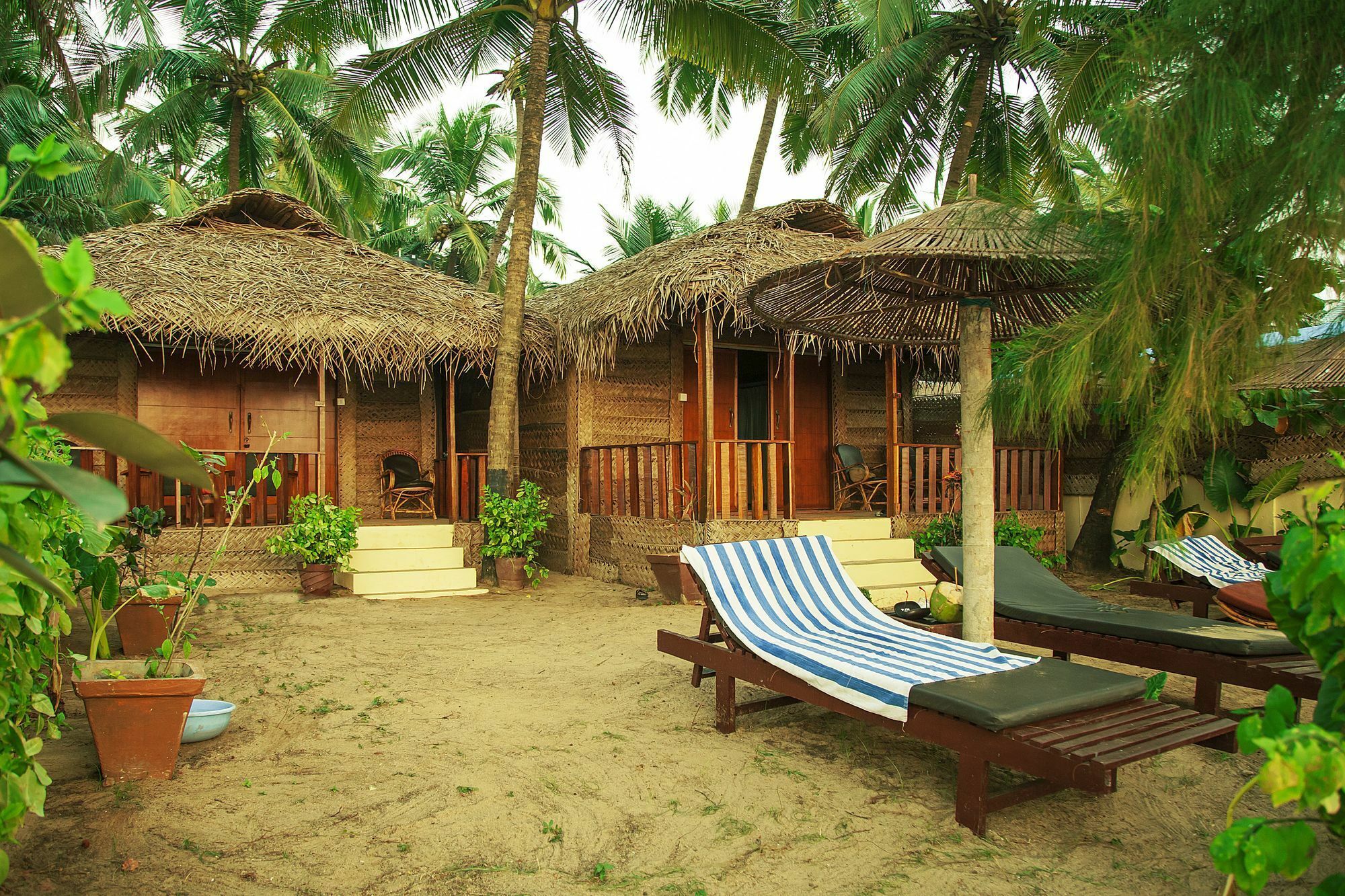 Mariposa Beach Grove Agonda Buitenkant foto